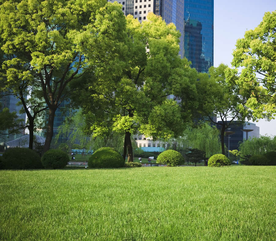 Best Cuts Lawn Care and Landscaping