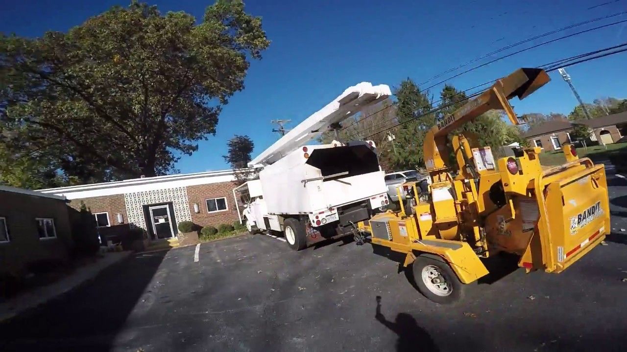 Out On A Limb Tree Service