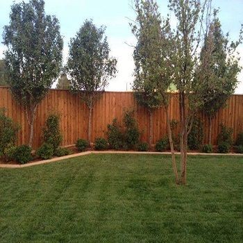 Abilene Privacy Fencing