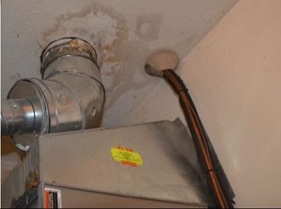 Hero Mold Removal of Colonial Heights