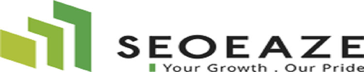 SeoEaze – Best SEO Company in Delhi NCR