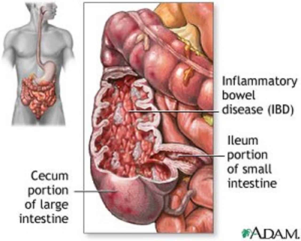 Gastroenterologists of Midtown