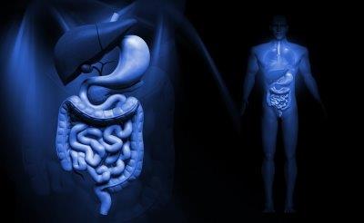 Best Gastroenterology Doctors