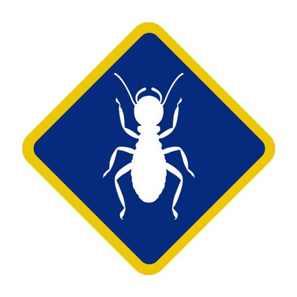 Affordable Termite Control Huntington Beach