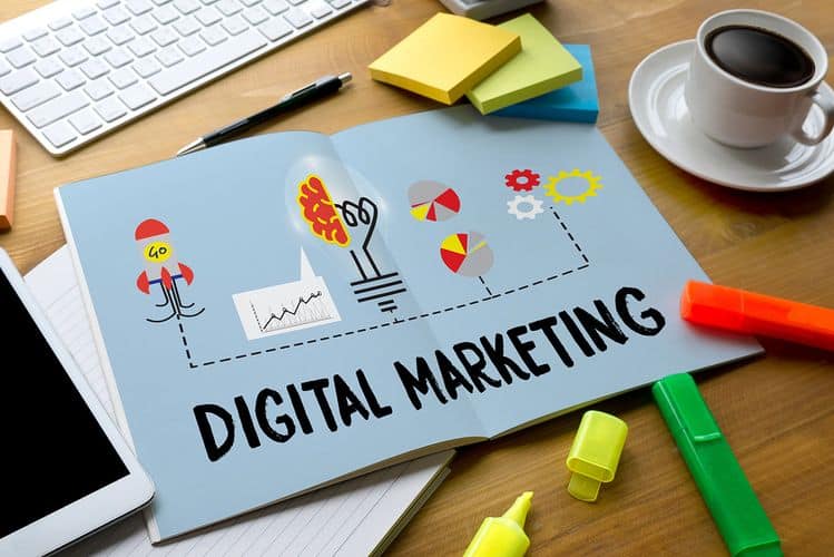 Hire SEO Freelancer