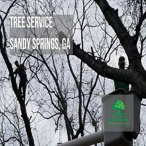 Top Tree Service Company