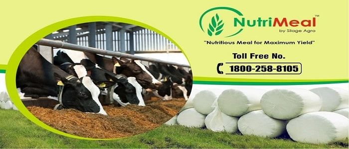 Silage Agro Private Limited