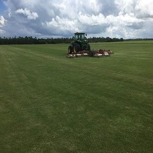 Green Parc Turf & Stone
