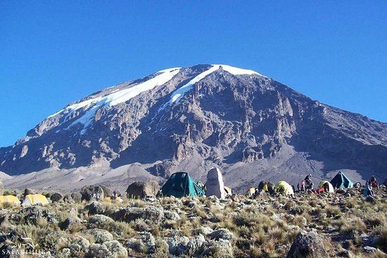 Team Kilimanjaro