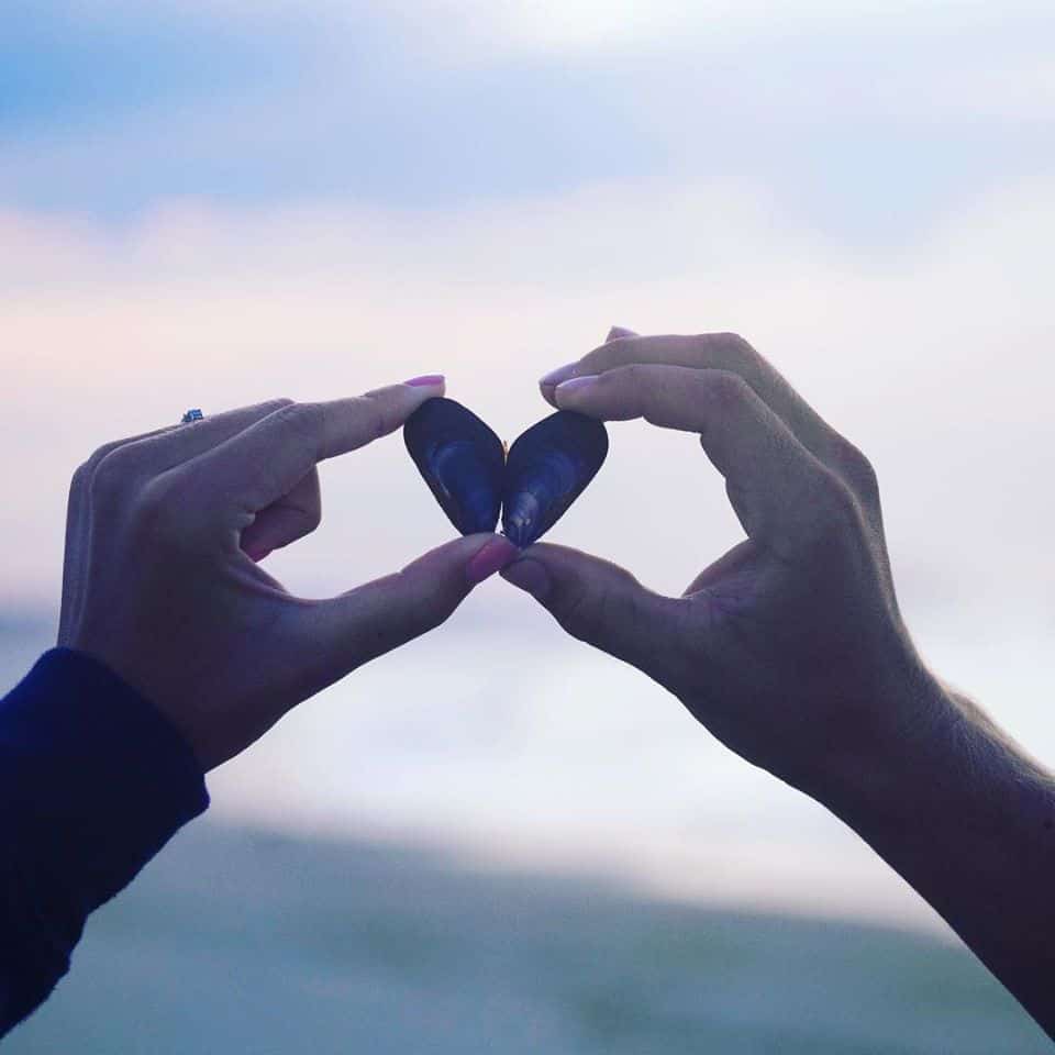 Relationship Institute of Palm Beach