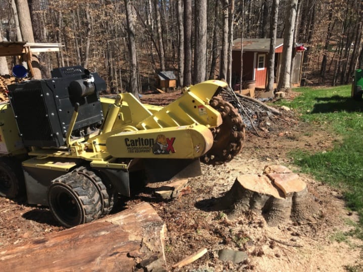 Centreville Tree Services