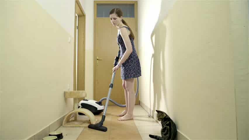 Dgcleaningandcarpetcare