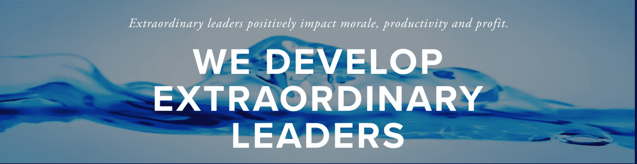Loeb Leadership Development