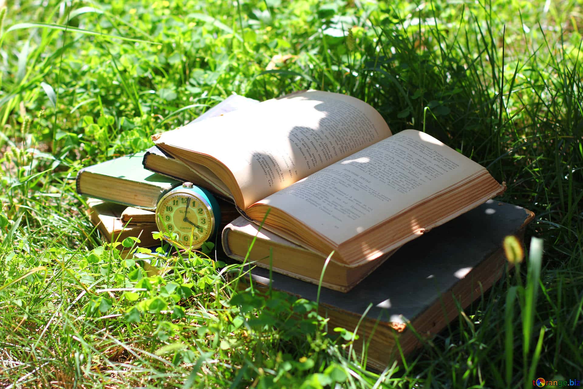 Best Online Bookstore In Hyderabad