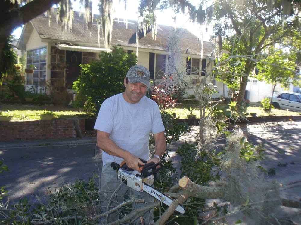 Allen’s Tree Works