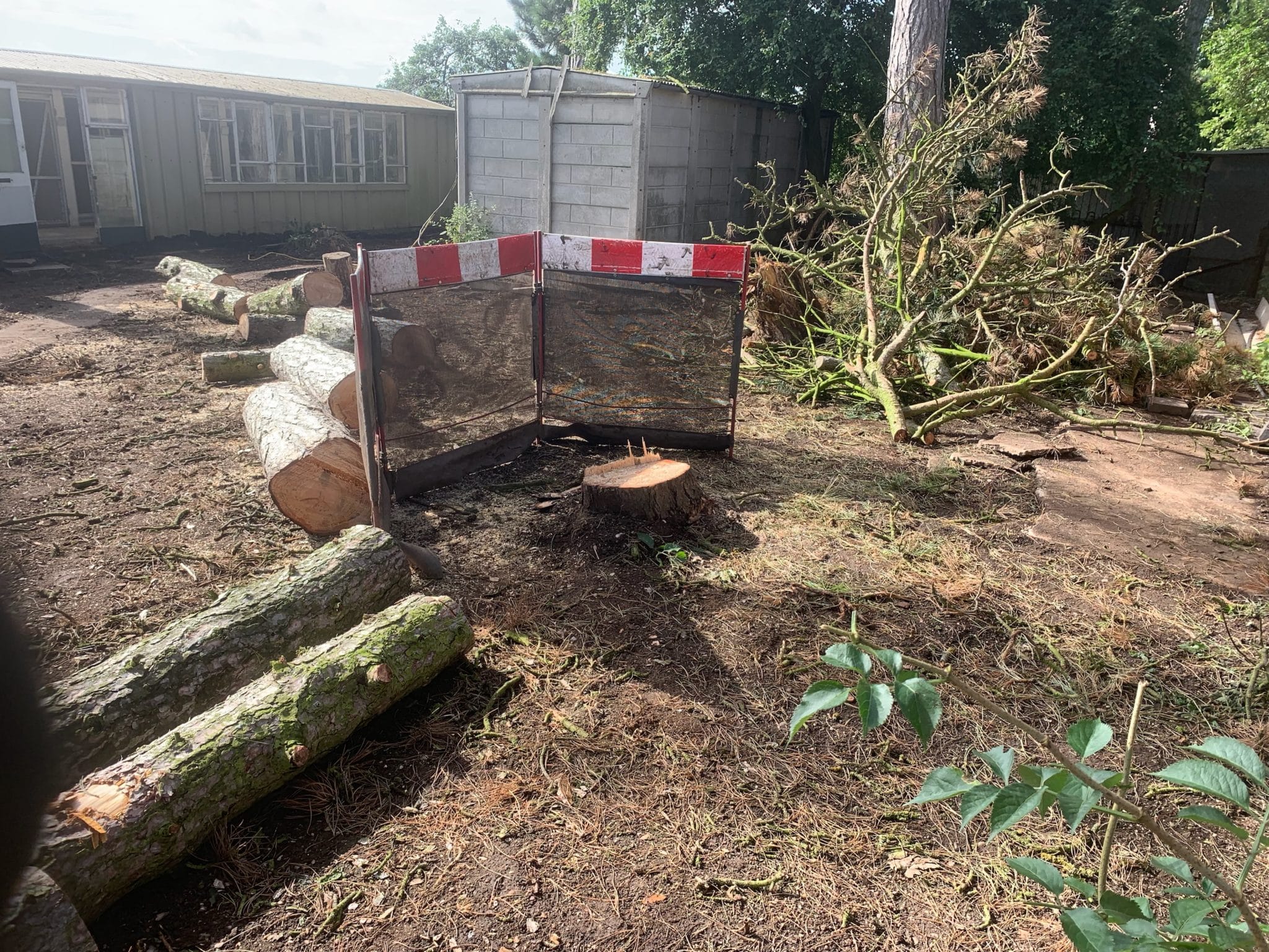 Stump Removal Services