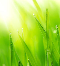 Chris James Landscaping