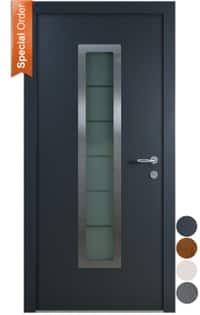 Exterior House Entrance and Front Doors