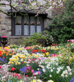 Chris James Landscaping
