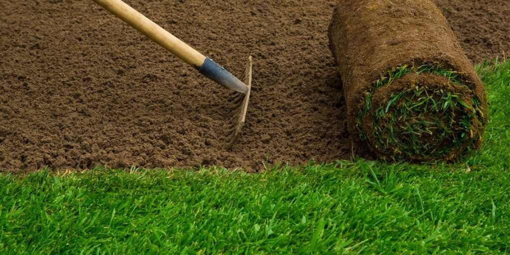 Backyard Landscaping Las Vegas