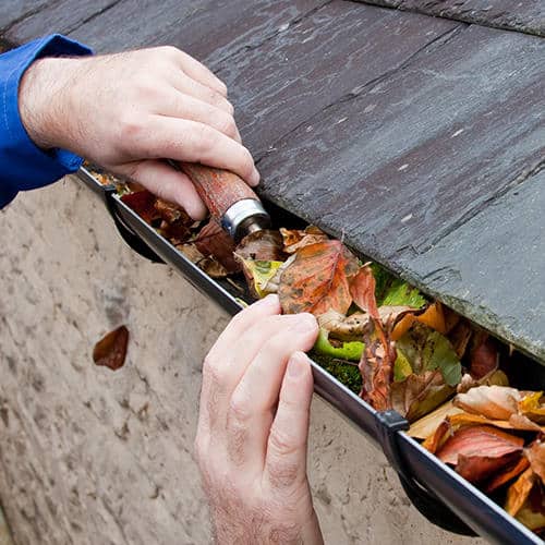 Next Level Moss Treatment and Roof Cleaning