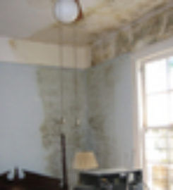 Water Damage Repair Brooklyn