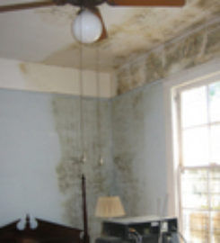 Water Damage Removal Far Rockaway
