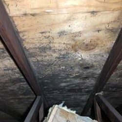 Home Doctor Restoration