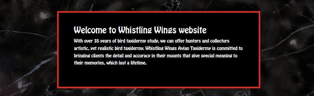 Whistling Wings