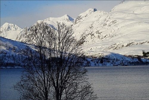 Tromso Visitors