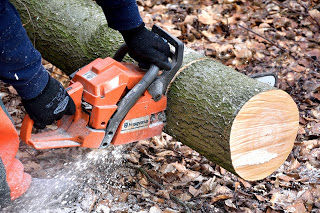 Tree Cutting And Trimming NYC