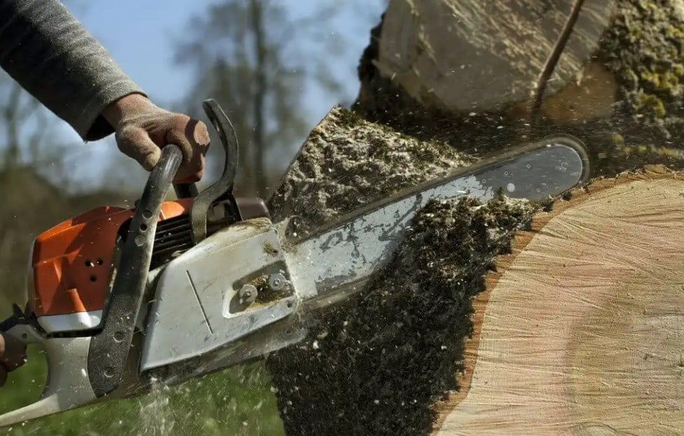 Plymouth Tree Service