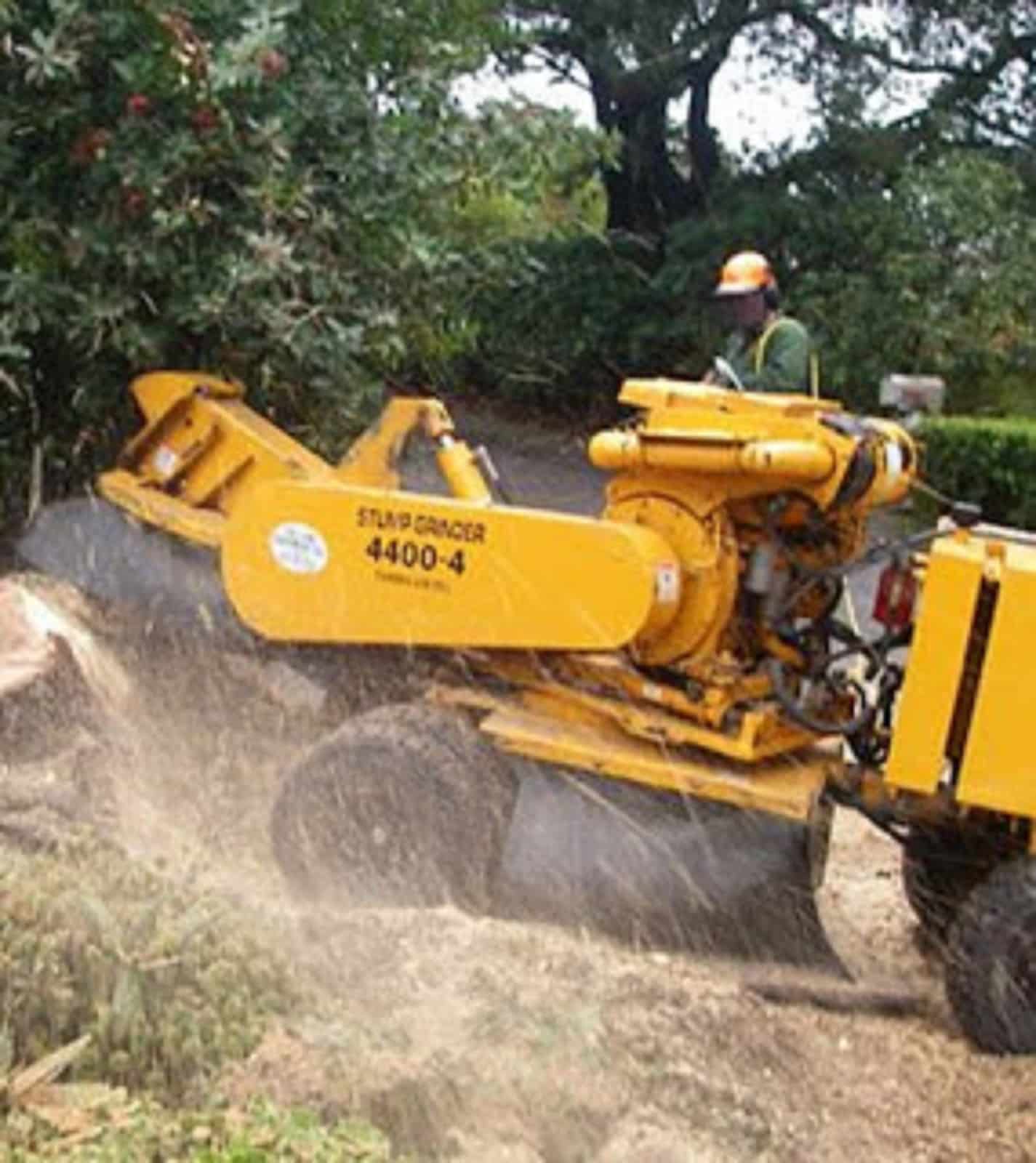 Tree Trimming & Pruning