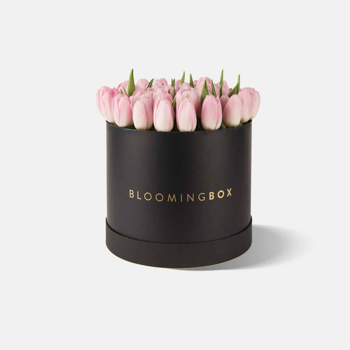 Blooming Box