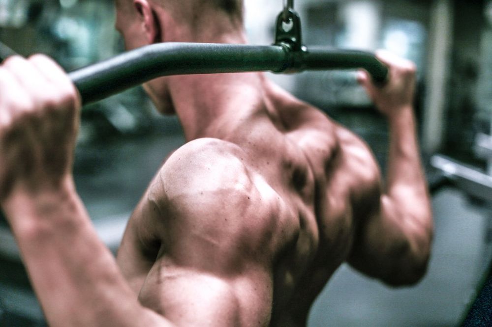 Elin Personal Training Arlington