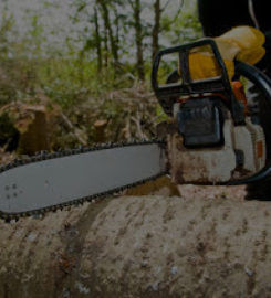 UNBEATABLE RATES Tree Service & Removal