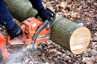 Eagles Tree Service LLC
