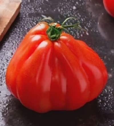 Tomatitaimed ja kurgitaimed
