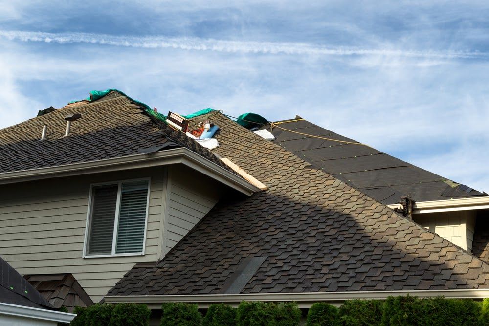Whitetail Roofing Co.