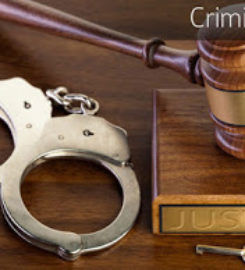 TM Criminal Justice Lawyer