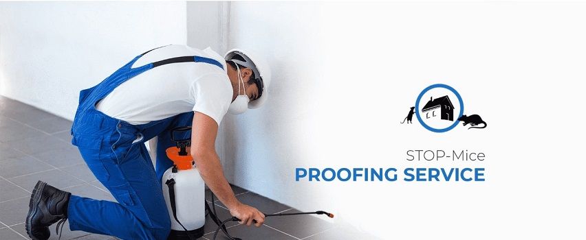 Merida Pest Control – Ealing