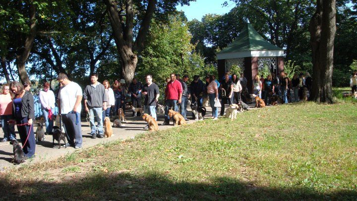 Anthony Jerone Dog Trainer