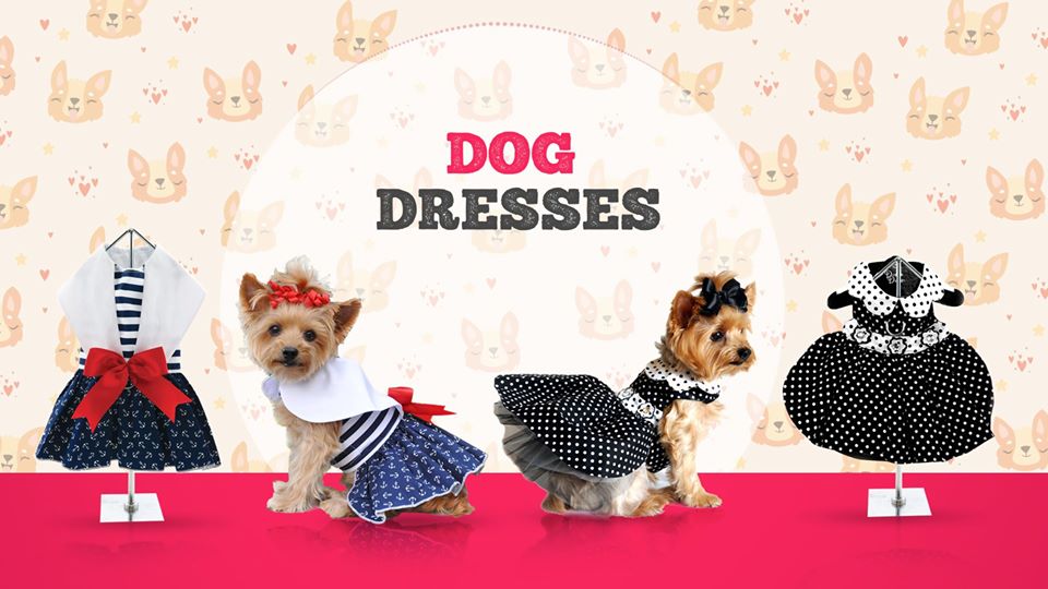 Doggy Stylz