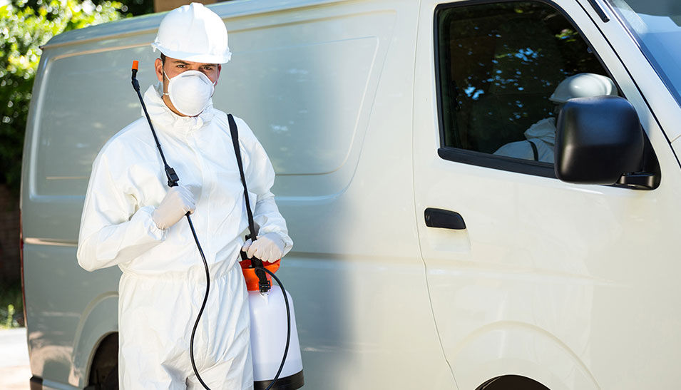 Termite Control San Antonio – Satxpest