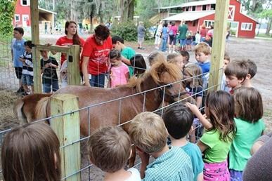 Old McMicky's Farm
