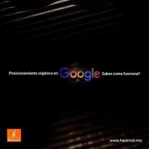 HEXIMAR SEO EXPERTS
