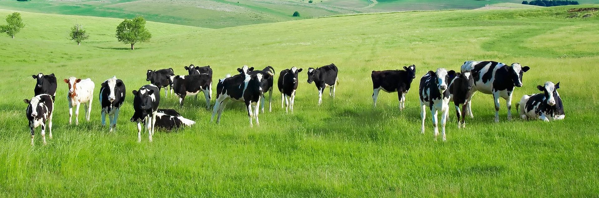 Kuipers Agrishop