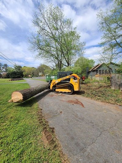 Tree Service Canton