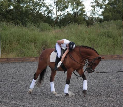 Position Perfect Equestrian