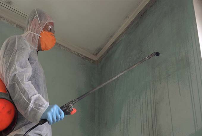 Mold Remediation Spokane WA